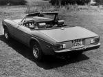 Jensen Healey Roadster 1972 года (NA)
